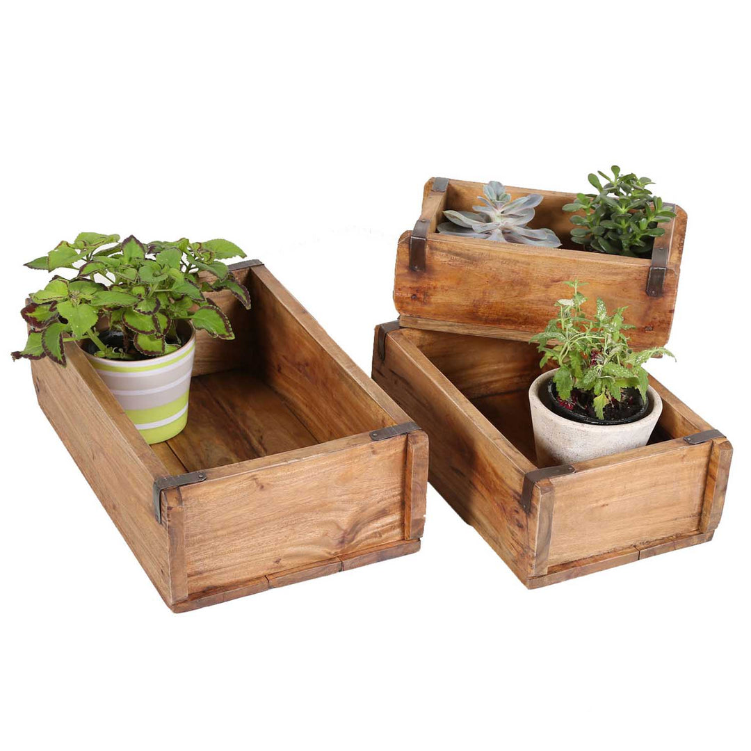 Pflanzenbox Gino 3er Set