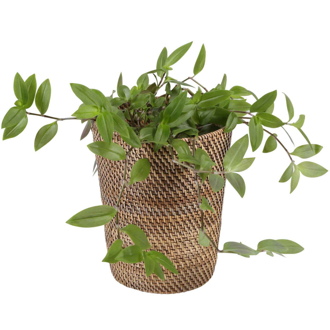 Papierkorb aus Rattan Nila Light Braun