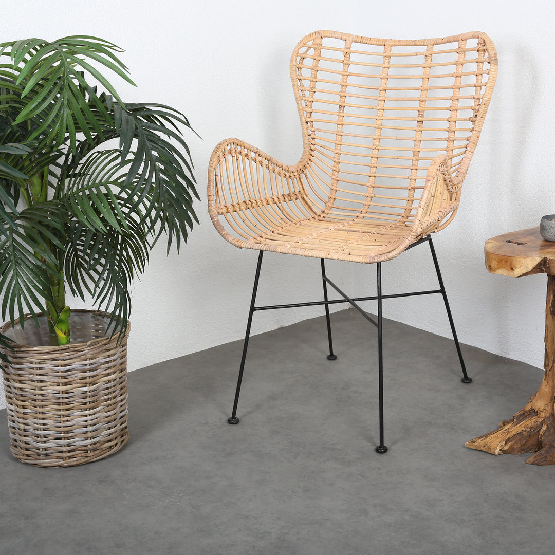 Rattan Sessel Monia