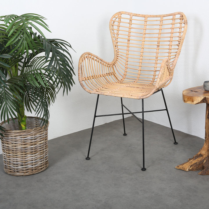Rattan Sessel Monia